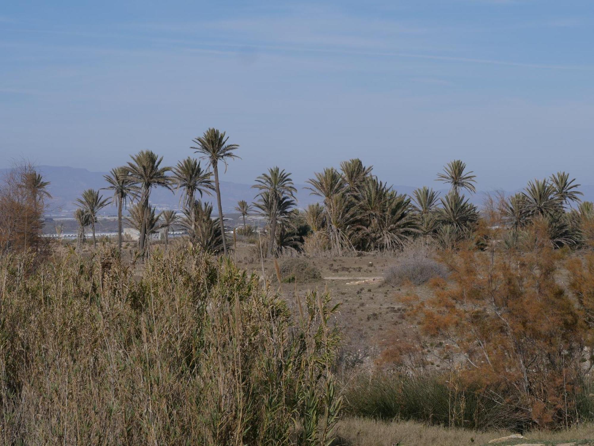 Precioso Apartamento En Cabo De Gata Bagian luar foto